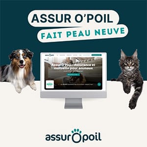 assuropoil ASSURANCE ANIMAUX