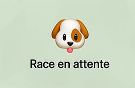 Chien De Canaán