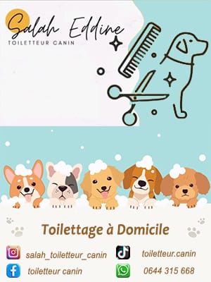 toilettage canin