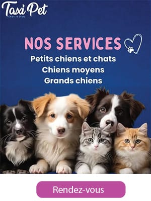 Taxi pet services toilettage mobile au Maroc