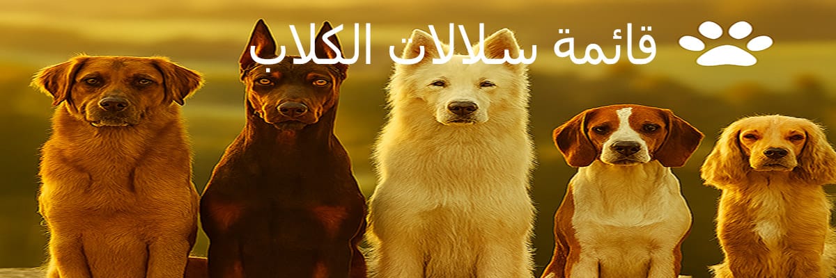 سلالات الكلاب حسب FCI