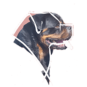 Domaine du Parc Murdoch