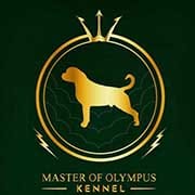 Mster of Olympus Kennel