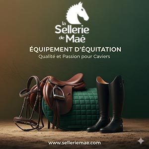 La Sellerie de Maé : Equipements pour cavaliers et chevaux