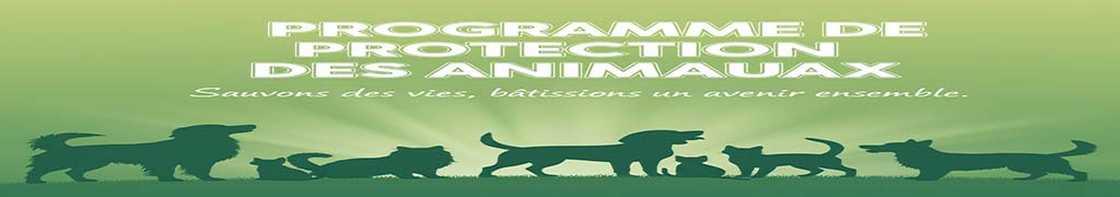 Bannière SnopetAct - Partenaire pour la Protection Animale