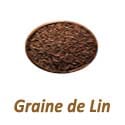 graine de lin