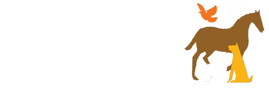 Animalerie en ligne : nourriture, accessoires | Snopet