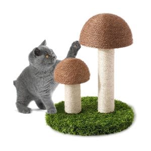 Arbre à Chat Champignon en Sisal Naturel – Design Mignon & Griffoir Durable