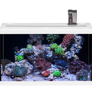 aquarium EHEIM aquastar 63 marine