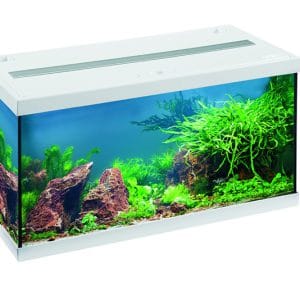 aquarium EHEIM Aquastar54 LED vue frontale blanc aquarium 54 L design