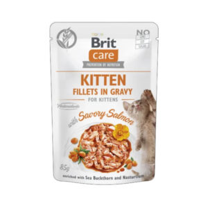 Brit Care Cat Kitten saumon en gelée 85g pour chaton
