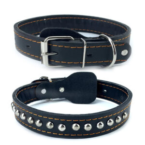 Collier en cuir réglable pour chien avec boutons inox