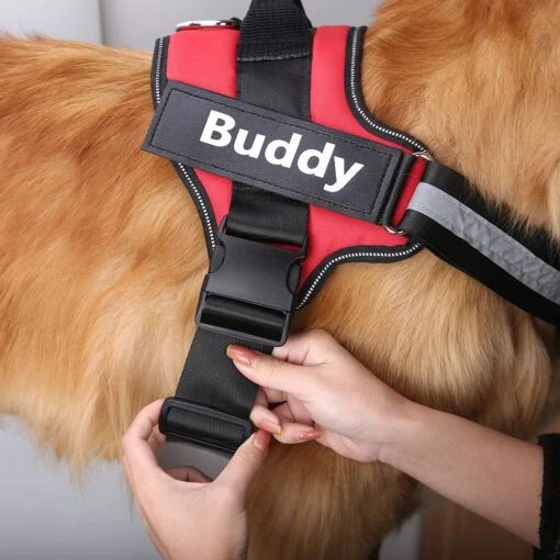 Harnais hyper confortable pour chien avec poignée robuste