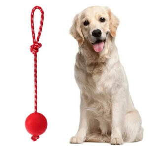 Lanceur de balle en caoutchouc solide pour chien