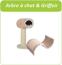 arbre à chat et griffoirs