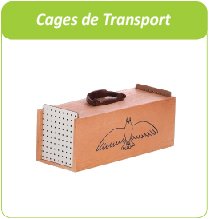 cage transport des pigeons