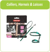 colliers, harnais et laisses pour chat