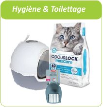 hygiène et toilettage des chats