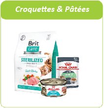 croquettes et pâtées pour chat