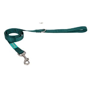 Laisse Nylon Basic pour Chien