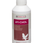 Avi-Chol