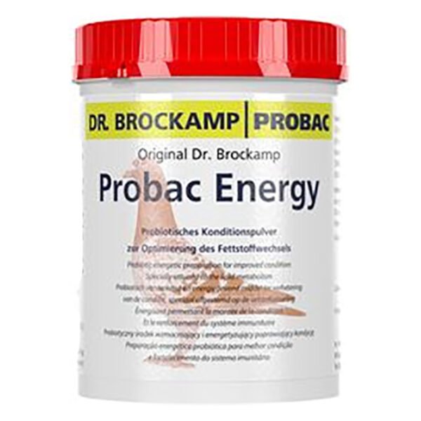 Probac Energy 500gr