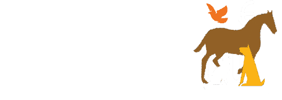 Snopet – Plateforme dédiée aux animaux de compagnie et de ferme