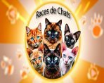 les différentes races de chats